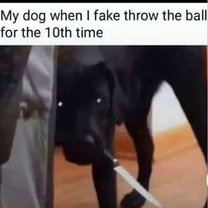 Meet your Posher, Cody